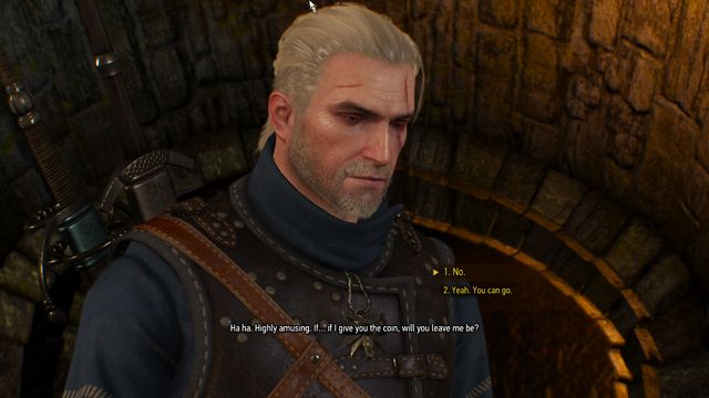 Decide about the thiefs fate - The Witcher 3 Wild Hunt: Side quests, Free City of Novigrad - walkthrough - The Witcher 3: Free City of Novigrad - The Witcher 3 Wild Hunt Guide