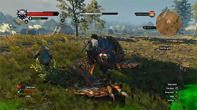 The Witcher 3 Wild Hunt: How to defeat a boss griffin in first fight ...