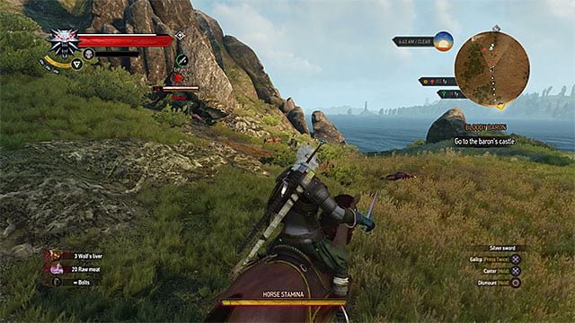 Try to examine from distance whether exploring a location is safe (are there any strong monsters guarding it) - The Witcher 3 Wild Hunt: Optional locations - question marks on the map, list - The Witcher 3: Exploring the game world - The Witcher 3 Wild Hunt Guide