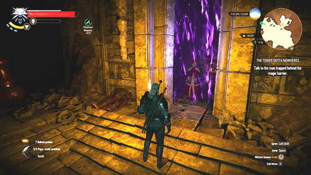 Talk to the mage trapped behind the magic barrier. - The Witcher 3 Wild Hunt: Side quests in An Skellig - list, walkthrough - The Witcher 3: An Skellig - The Witcher 3 Wild Hunt Guide