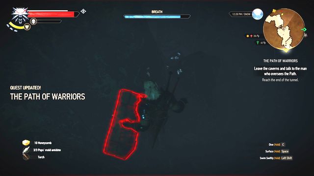 After you swim through the tunnel, dive again to find the chest. - The Witcher 3 Wild Hunt: Side quests in An Skellig - list, walkthrough - The Witcher 3: An Skellig - The Witcher 3 Wild Hunt Guide