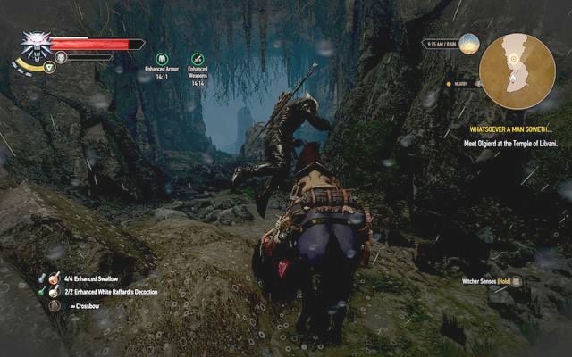 Get to the cave, two entrances lead inside - The Witcher 3: Whatsoever a Man Soweth... - The Witcher 3: Main quests - The Witcher 3 Wild Hunt Guide