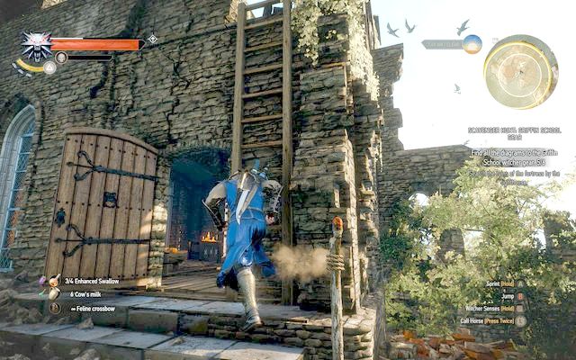 A ladder by the door by which you have entered the building. - The Witcher 3 Wild Hunt: Basic Griffin School Gear - The Witcher 3: Griffin School Gear - The Witcher 3 Wild Hunt Guide