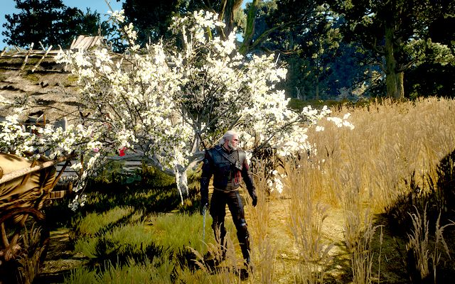 Superior Wolven School Gear - The Witcher 3 Wild Hunt: Superior Wolf School Gear - The Witcher 3: Wolf School Gear (DLC) - The Witcher 3 Wild Hunt Guide