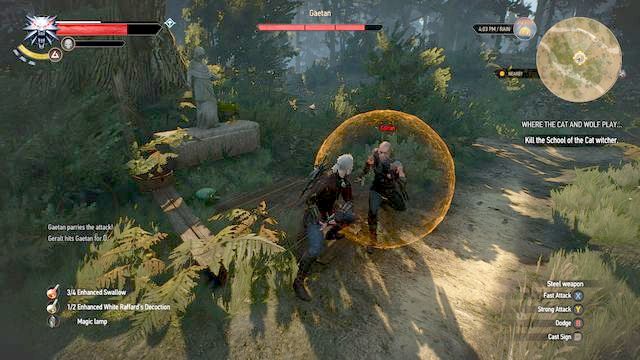Gaetan - The Witcher 3 Wild Hunt: Where the Cat and Wolf Play... - walkthrough - The Witcher 3: Free DLC - The Witcher 3 Wild Hunt Guide