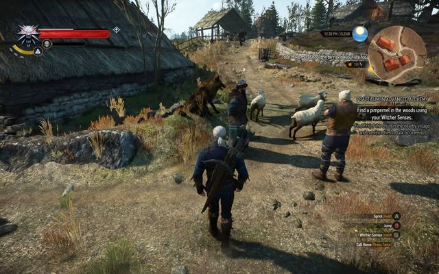 Fritjof - The Witcher 3 Wild Hunt: Practicum in Advanced Alchemy - walkthrough - The Witcher 3: Kaer Trolde - The Witcher 3 Wild Hunt Guide
