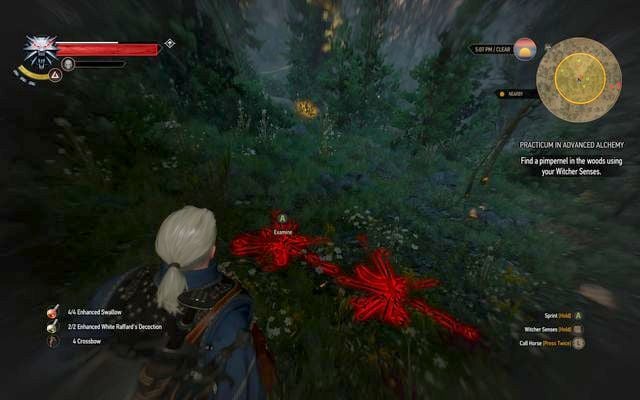 The plants remains in the forest - The Witcher 3 Wild Hunt: Practicum in Advanced Alchemy - walkthrough - The Witcher 3: Kaer Trolde - The Witcher 3 Wild Hunt Guide