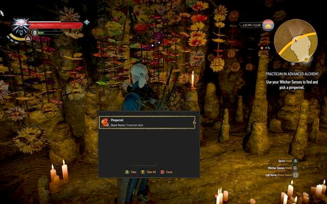 Pimpernel in succubus cave - The Witcher 3 Wild Hunt: Practicum in Advanced Alchemy - walkthrough - The Witcher 3: Kaer Trolde - The Witcher 3 Wild Hunt Guide