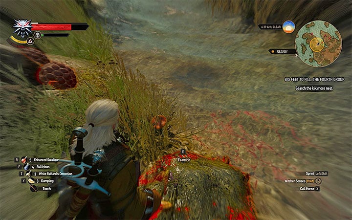 Search the nest after defeating the kikimores - Big Feet to Fill - quests concerning the Prophet Lebioda statue - Side quests - The Witcher 3: Blood and Wine Game Guide