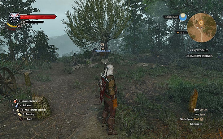 Jacob will be standing near a tree - A Knights Tales - quest of a girl turned into a tree - Side quests - The Witcher 3: Blood and Wine Game Guide