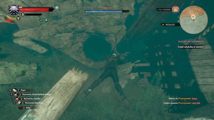 The entrance of the cave where there is the treasure. - Locations and descriptions of all treasure hunts - Witcher contracts and Treasure hunts quests - The Witcher 3: Blood and Wine Game Guide