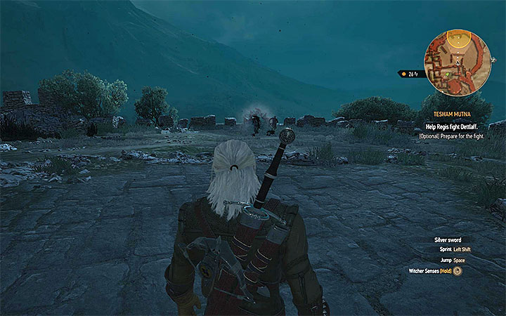 Move only once youre ready - Tesham Mutna - the final confrontation with Dettlaff - Main quests - The Witcher 3: Blood and Wine Game Guide