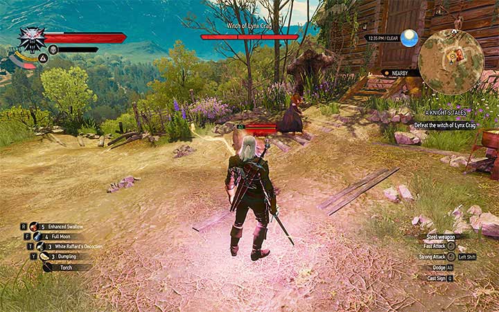 Only engage the witch, and avoid the panther - Side quests and Witcher contracts opponents in The Witcher 3: Blood and Wine - All Boss Fights - The Witcher 3: Blood and Wine Game Guide