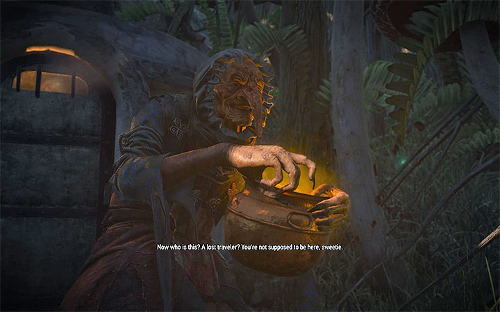 You will encounter the Wicked Witch soon after you arrive at the fairy land - Main quests bosses in The Witcher 3: Blood and Wine - All Boss Fights - The Witcher 3: Blood and Wine Game Guide