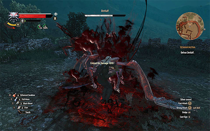 You should attack Dettlaff only when he lands on the arena - an example situation like that is shown on the above picture - Main quests bosses in The Witcher 3: Blood and Wine - All Boss Fights - The Witcher 3: Blood and Wine Game Guide