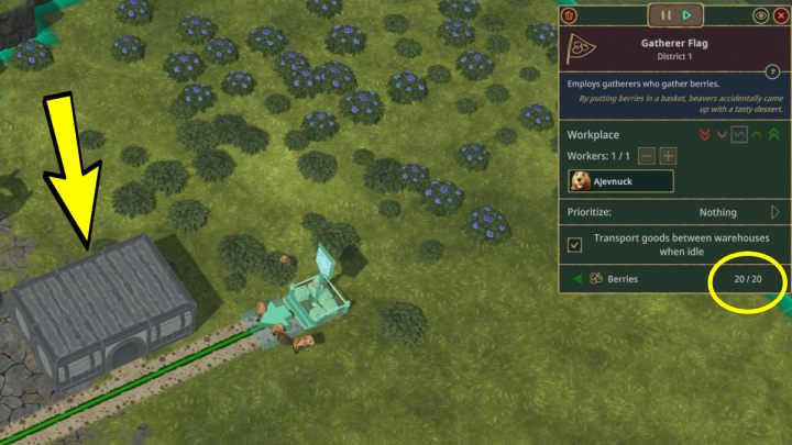 The reason why your worker is sitting idly by the ripe berry bushes may be the lack of space to store this resource - Timberborn: Gatherer Flag (food storage) - why doesnt he pick berries? - FAQ - Timberborn Guide