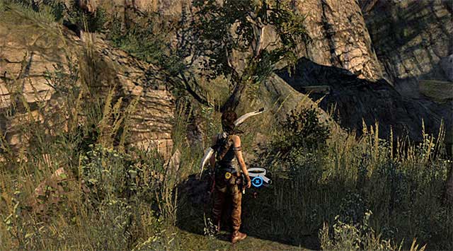 Youll find the Cache in the grass (reward: 5 XP) - GPS Caches | Collectibles: Cliffside Bunker - Collectibles: Cliffside Bunker - Tomb Raider Game Guide