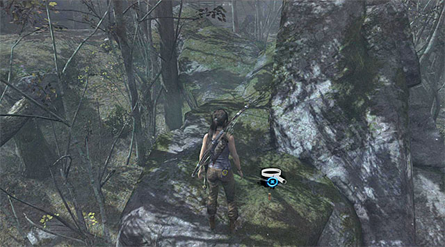 Make your way up towards the rocks on the top - GPS Caches | Collectibles: Coastal Forest - Collectibles: Coastal Forest - Tomb Raider Game Guide