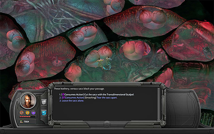 You can break through the central part of the map or reach the side Tongue Clusters - How to pass through the Nethermost Cavity in the Bloom and reach the Heart Interior? - Puzzles and additional activities - Torment: Tides of Numenera Game Guide