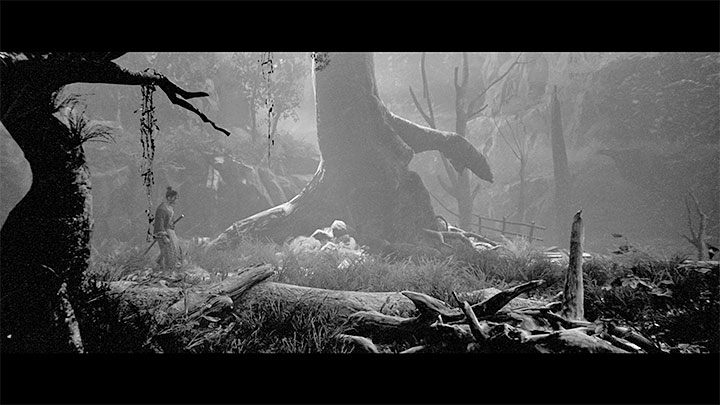 One of the distinguishing features of Trek to Yomi is the black and white graphics - Trek to Yomi: Monochrome filter - can it be turned off? - FAQ - Trek to Yomi Guide