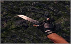 You can shoot the remaining beasts or move along through hollow tree-trunk - The Lost Land - Walkthrough - Turok - Game Guide and Walkthrough