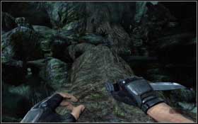 You will get to the precipice, which you can cross using a broken tree or a nearby shelf - The Bad Blood - p. 1 - Walkthrough - Turok - Game Guide and Walkthrough