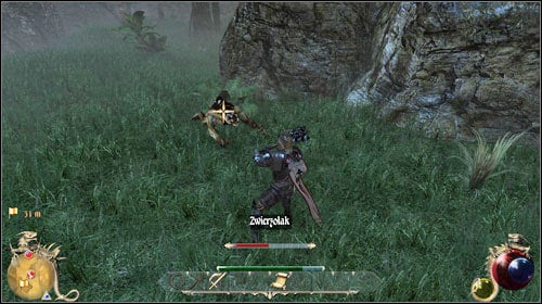 Senoir can be found in the Universitys library (east wing) - Ostrich feathers, Science Career | Quests - Mages Guild - Quests - Mages Guild - Two Worlds II Game Guide