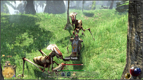 The mission consists of clearing the glade (M23:52) of all the monsters living there and therefore saving the mountain plants - Spiders Lair, Plants Gardening | Quests - Merchants Guild - Quests - Merchants Guild - Two Worlds II Game Guide