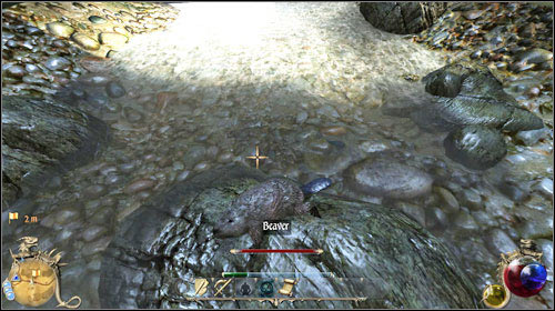 At first the mission might seem trivial, but its really not - Pied Pieper of Ashos, Reptiles Park | Quests - Warriors Guild - Quests - Warriors Guild - Two Worlds II Game Guide