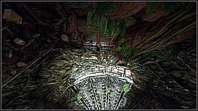 Now, you had to remove the rotten touchwood that was blocking the path - Uncharted 1: The Search for El Dorado part 1 - Chapter 2 walkthrough - Walkthrough - Uncharted Drakes Fortune Guide