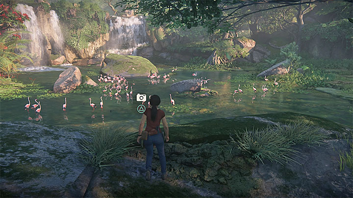 Stop the Jeep when you reach the body of water shown above, where you encounter a large group of flamingos - - Homecoming - Walkthrough - Uncharted: The Lost Legacy Game Guide
