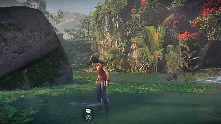 After you have taken the photos, you chase the flamingoes away and explore the location where they have been - - Homecoming - Walkthrough - Uncharted: The Lost Legacy Game Guide