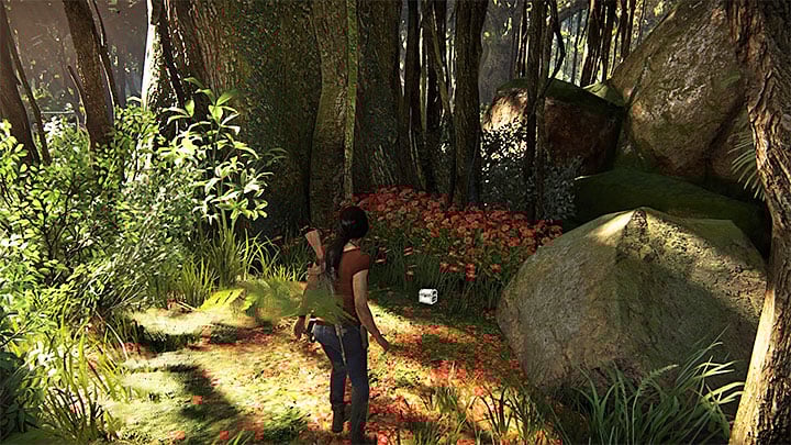 This is one of the better-hidden treasures and to find it, you have to go to the forest southwards of Shivy fort - Treasures in Wester Ghats Secrets - Secrets - Uncharted: The Lost Legacy Game Guide