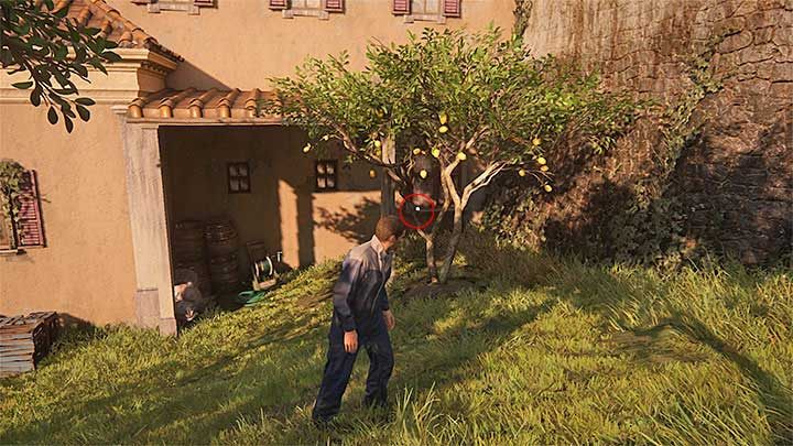 After Nate finishes climbing and ends up in the orchard, move straight ahead through the area - Uncharted 4: Chapter 6 Once a Thief - treasure list - Treasures - Uncharted 4: A Thiefs End Game Guide
