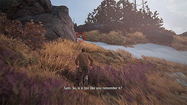 The chapter begins on a wide glade and you wont encounter any enemies for at least couple minutes - Uncharted 4: Chapter 8 The Grave of Henry Avery - walkthrough - Walkthrough - Uncharted 4: A Thiefs End Game Guide