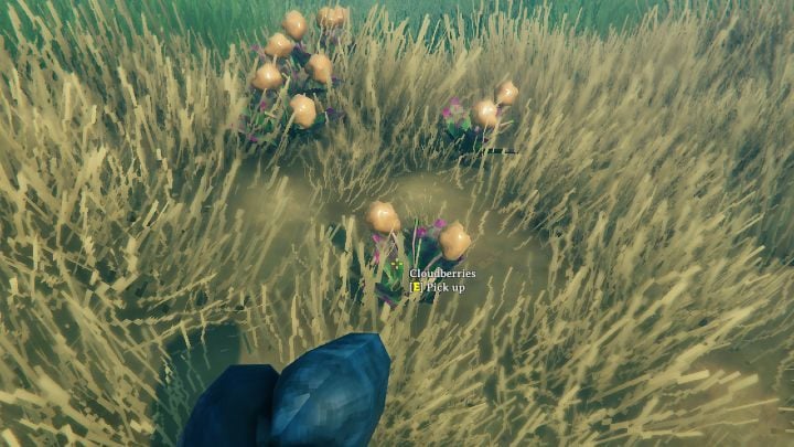 valheim-cloudberries-how-to-get-them-where-to-look-for-them