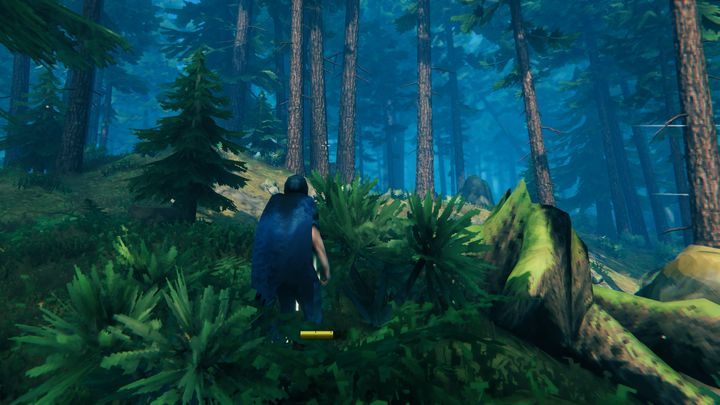 Dense pine forest. - Valheim: Core wood - how to get it? - Raw materials - Valheim Guide