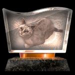 Trophy type: bronze - Yakuza 6 Trophy Guide - Basics - Yakuza 6 Game Guide