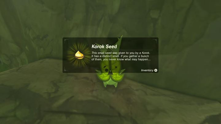 Use Korok Seed to increase the capacity of your inventory. - How to increase your inventory capacity in Zelda Breath of the Wild?? - FAQ - Frequently asked questions - The Legend of Zelda Breath of the Wild Guide
