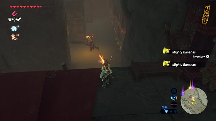 Fly by the guard - Forbidden City Entry and Divine Beast Vah Naboris | Zelda - Main quests - The Legend of Zelda Breath of the Wild Guide